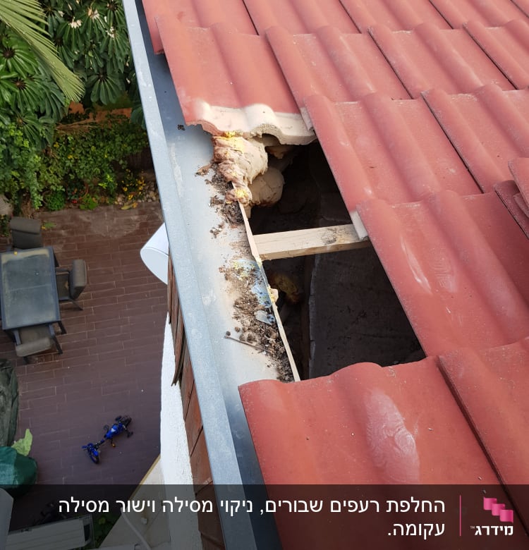 רעפים אדומים על גג עם חור ותיקון קצף